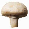 ButtonMushroom-fb.jpg