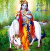 krishna-7841.jpg