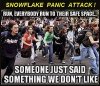 Snowflake-safe.jpg