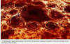 Screenshot_2020-09-24 Nasa spots Jupiter cyclone that looks like a delicious pepperoni pizza(1).png