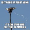 left-wing-or-5c1d2a.jpg